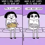 Why can’t you kick a cat off your lap?