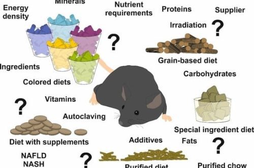 Why do rodents need nutraceuticals?