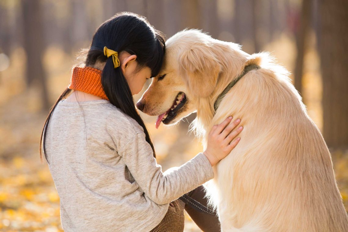 Why do some dogs love other people as their owner?