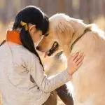 Why do some dogs love other people as their owner?