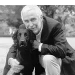 Why do some people train dogs by force