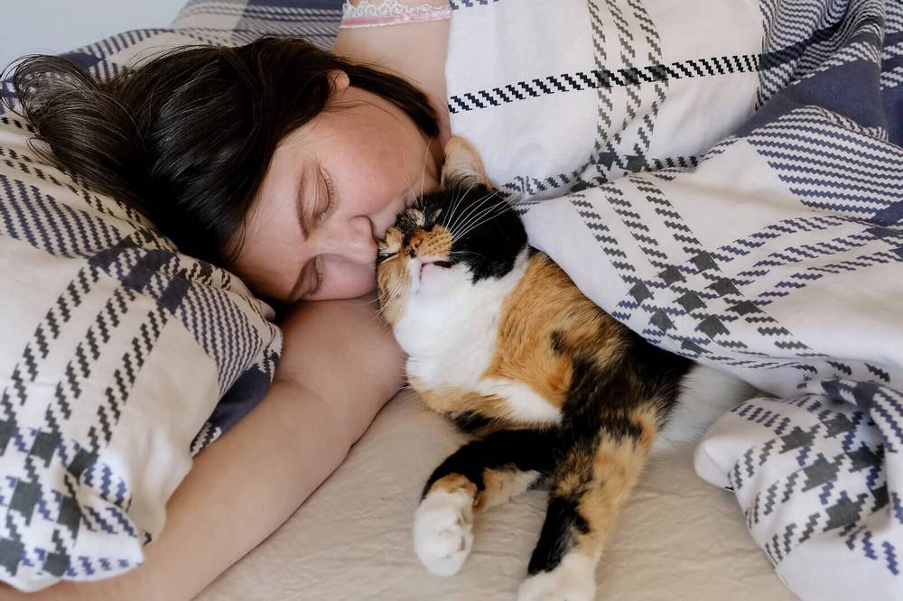 Why does a cat lie on a person and sleep on him?