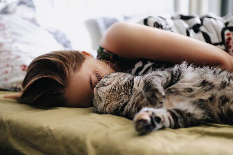 Why does a cat lie on a person and sleep on him?