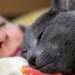 Why do cats respond to &#8220;kiss-kiss&#8221;?