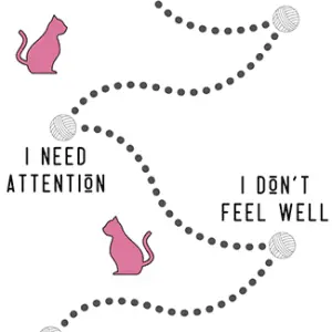 Why does a cat meow for no reason?