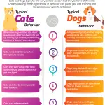Why don’t cats and dogs understand each other?
