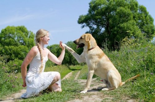 Why pet hobbies are important? Maria Tselenko says