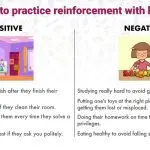 Why positive reinforcement is the best way to learn
