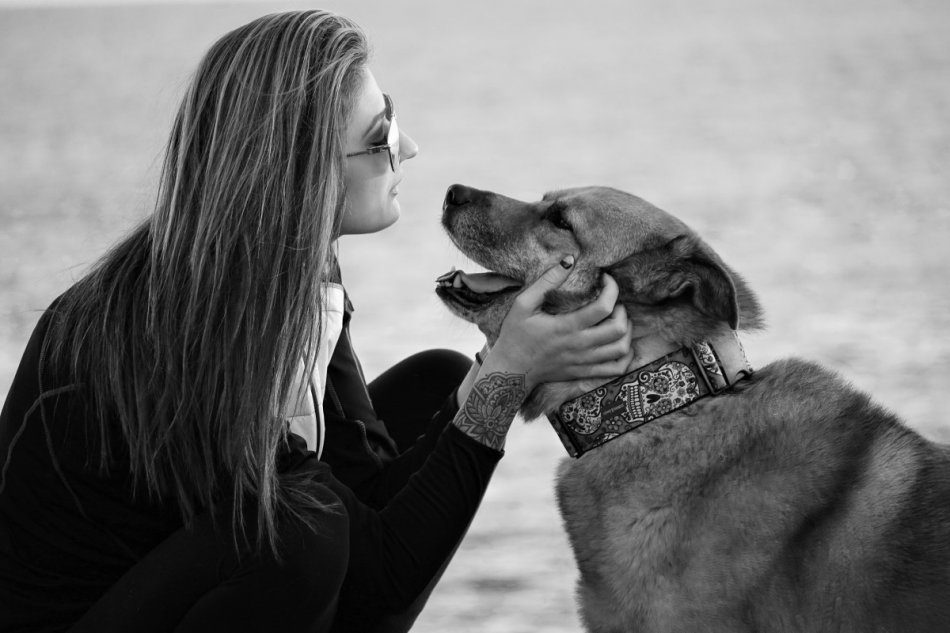 Why should a person understand the language of dogs?