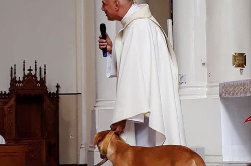 Why the dog rides on the priest &#8211; 12 reasons