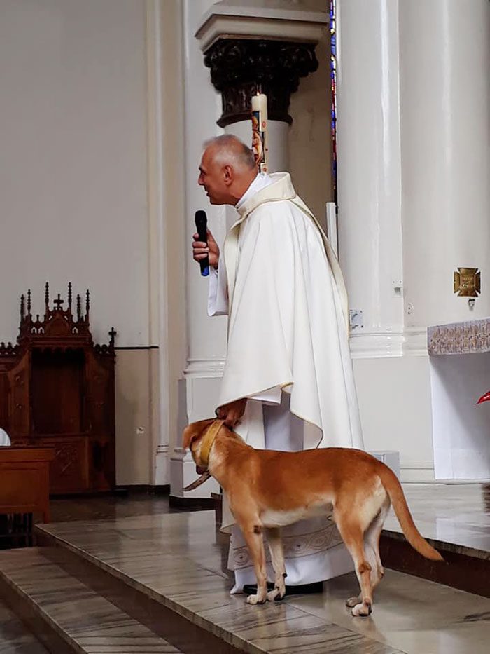 Why the dog rides on the priest &#8211; 12 reasons