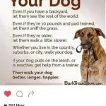 Why walk the dog if you have your own yard