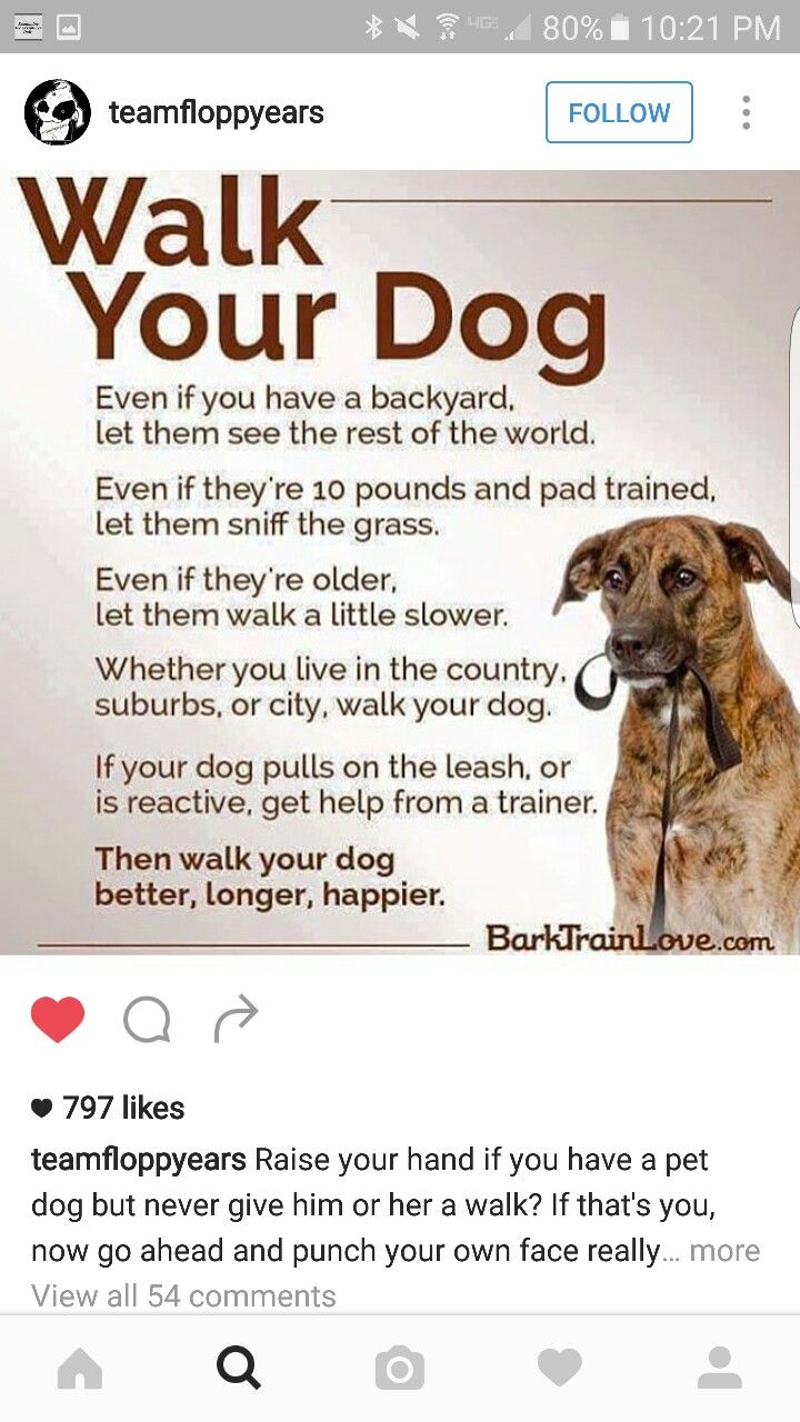 Why walk the dog if you have your own yard
