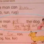 Why you shouldn’t hit a dog