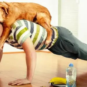 Will your dog save your life?