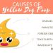 Black feces in a dog &#8211; causes and treatment