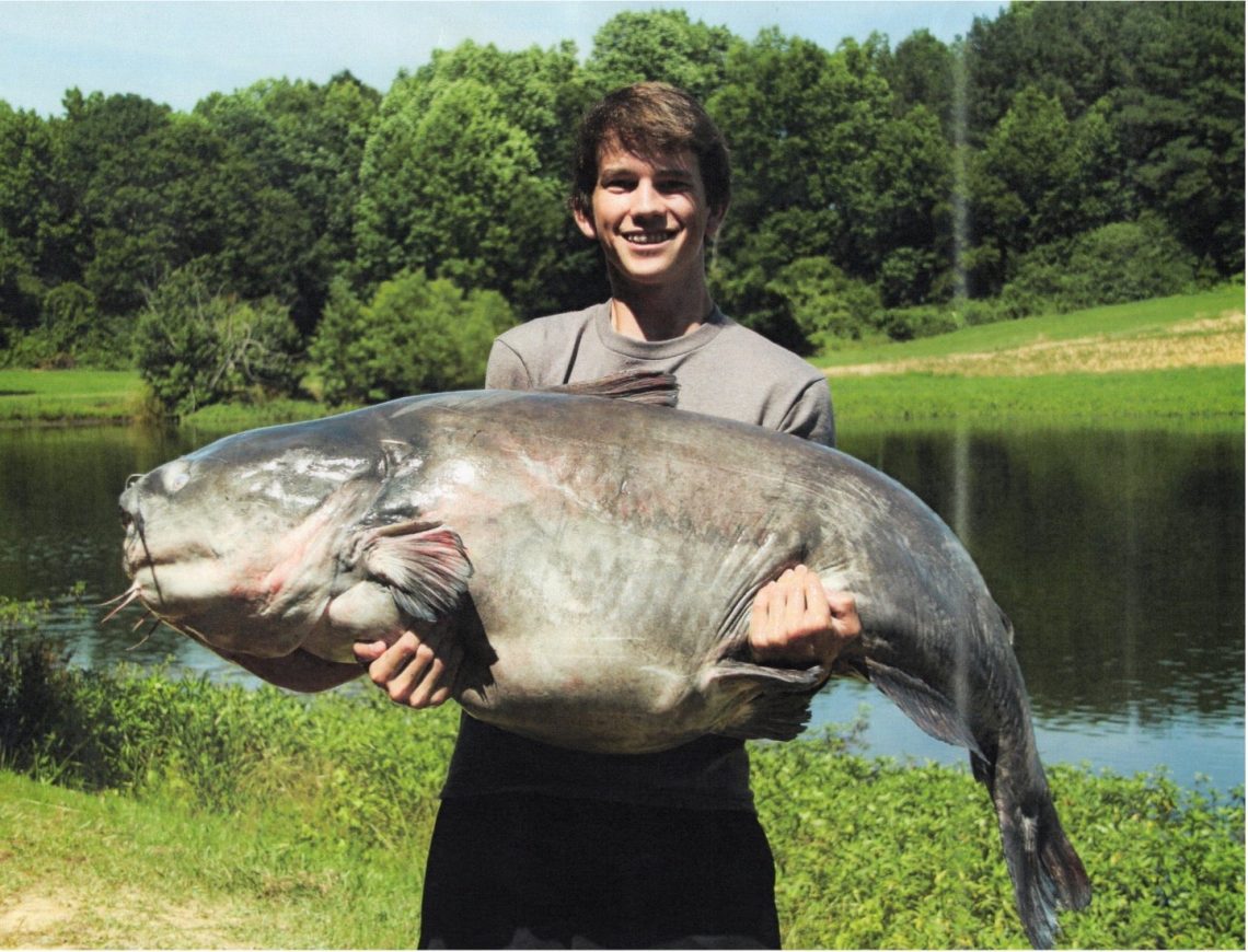10 biggest catfish in the world