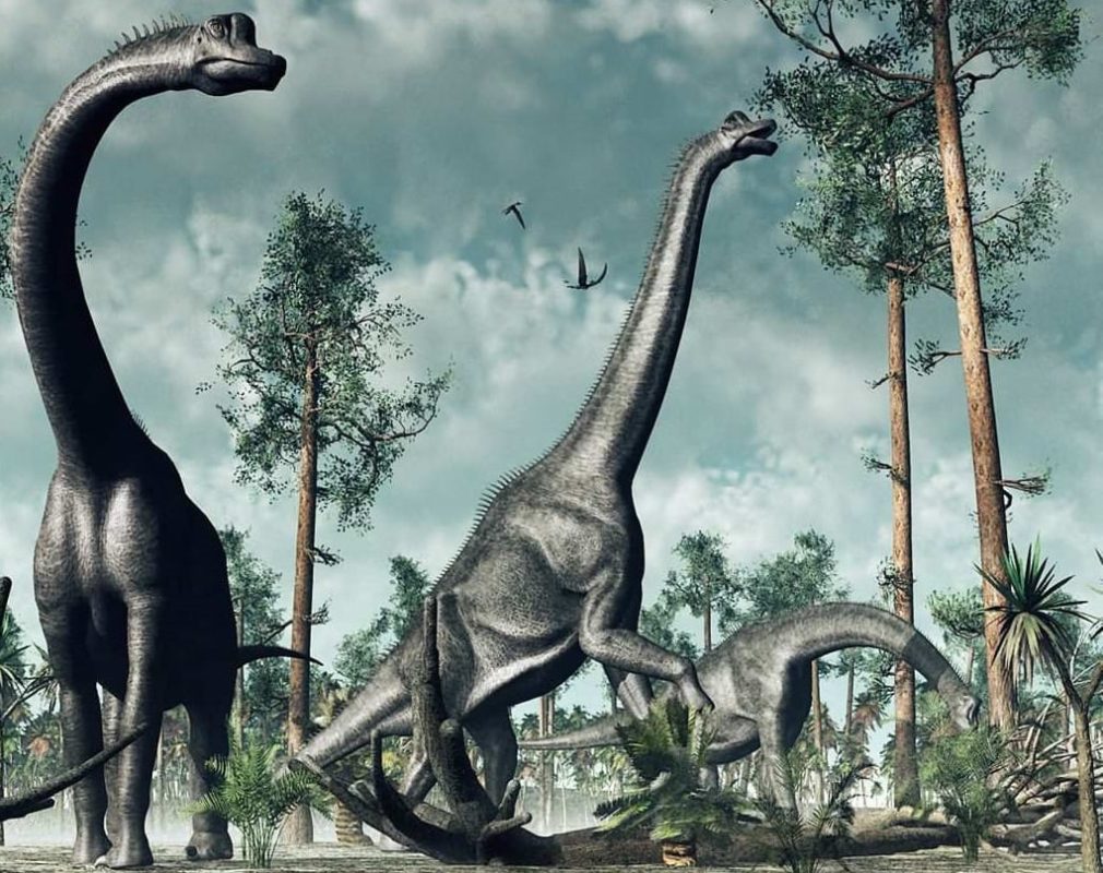 10 interesting facts about dinosaurs - extinct giants that inhabited our planet