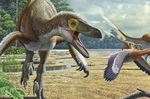 10 huvitavat fakti dinosauruste kohta – meie planeedil elanud väljasurnud hiiglased