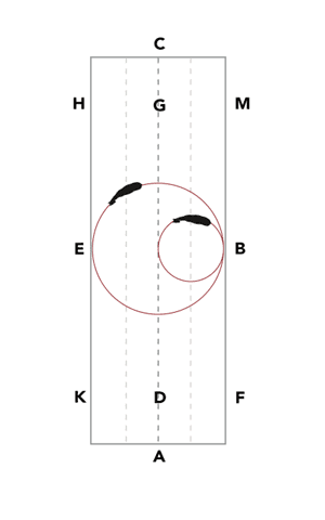 10 meter circles: the geometric challenge of dressage