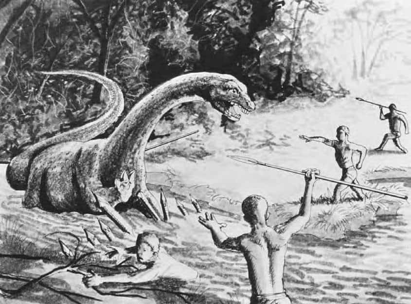 10 mysterious objects and creatures hunted by explorers in Africa