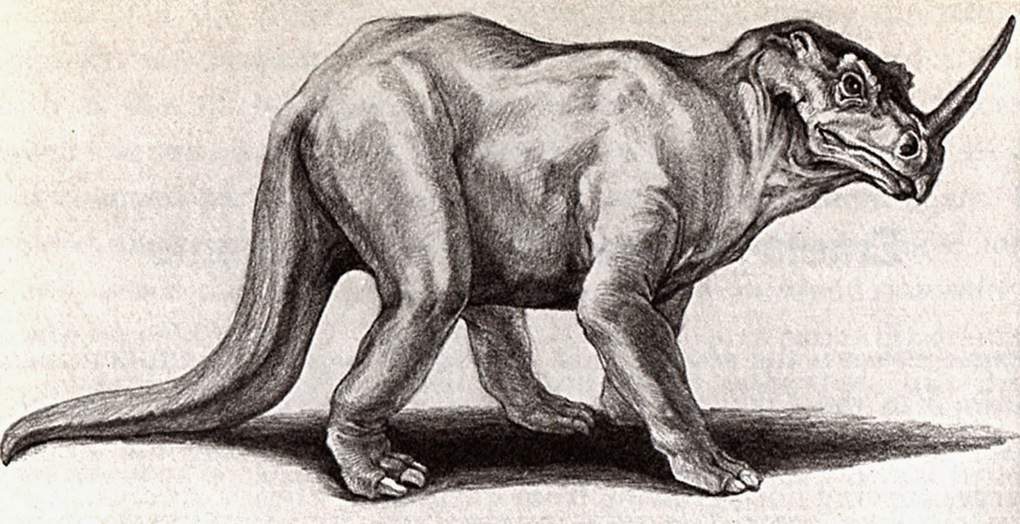 10 mysterious objects and creatures hunted by explorers in Africa
