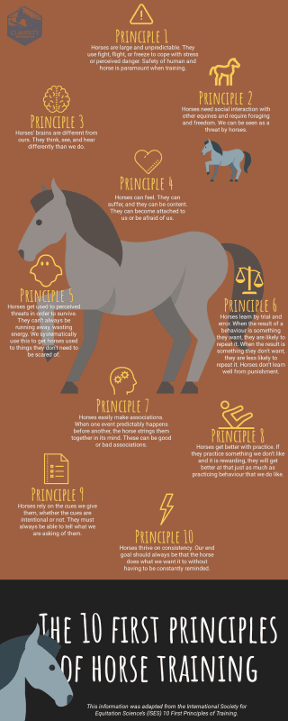 10 Principles for Training Young Horses