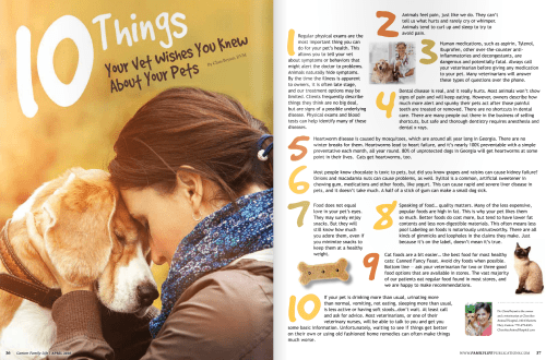 10 recommendations for those who are preparing to get a dog