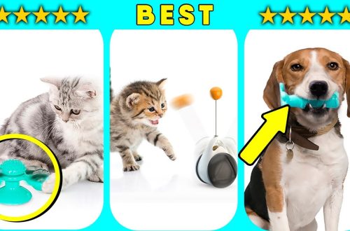 10 Useful Pet Devices from Aliexpress