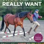 10 Ways to Build Rider Confidence in Your Horse
