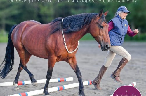 10 Ways to Build Rider Confidence in Your Horse
