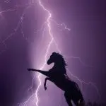 12 “lightning” while riding a horse