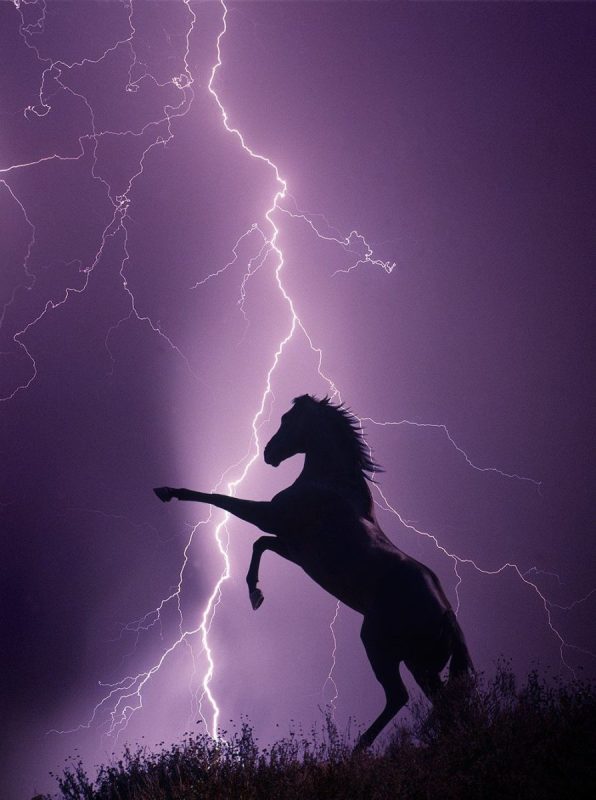 12 &#8220;lightning&#8221; while riding a horse