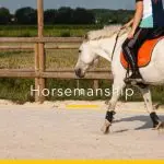 13 principles of working with horses from Vitaly Dyundikov