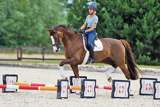 3 ways to improve your horse&#8217;s fitness