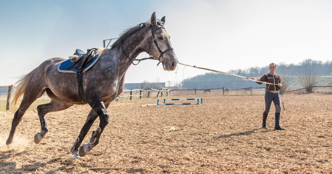 3 ways to improve your horse&#8217;s fitness