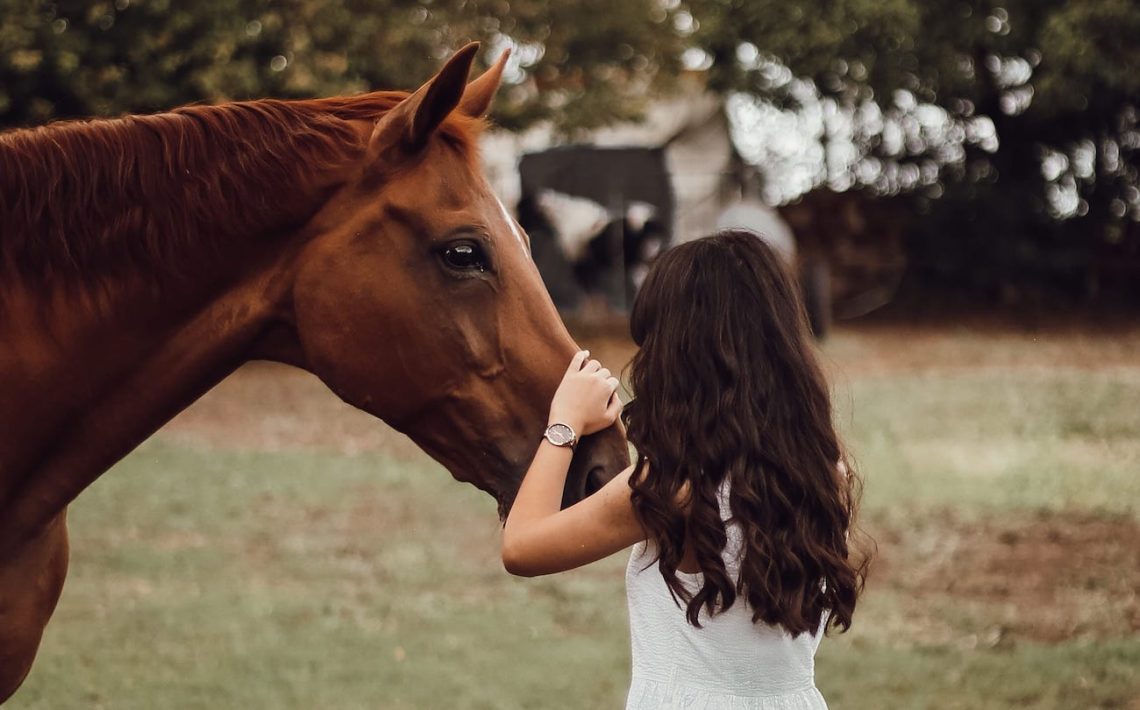 5 habits for a good relationship with your horse