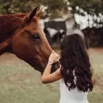 5 habits for a good relationship with your horse