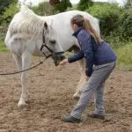 7 Exercises to Improve the Stability and Mobility of Your Horse’s Core