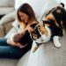 5 cat tricks you can learn today