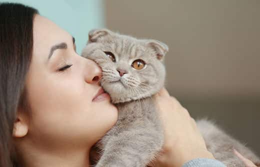 A cat protects a person: how pets take care of their owners