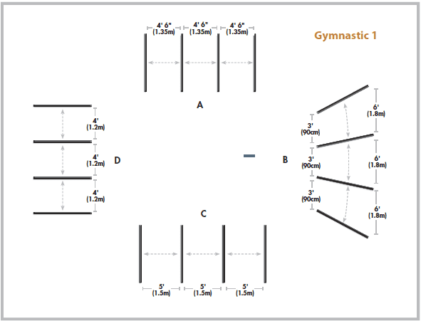 About some exercises for the gymnastic training of the horse