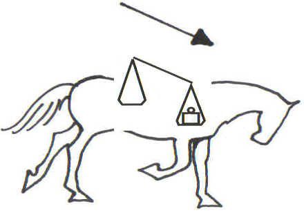 About the natural asymmetry of horses