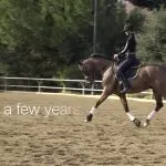 Added trot from scratch