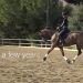 Warming up a &#8220;hot&#8221; horse: how to pay off excessive stress