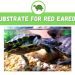 How do red-eared turtles sleep in an aquarium at home and in the wild