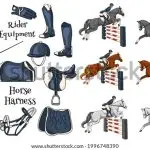 Ammunition for horse and rider