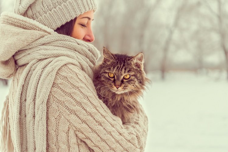 Are cats cold in winter?