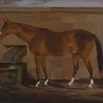 Armen Aghajanyan: Horses have always attracted me in any form