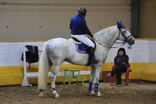 Armen Aghajanyan: Horses have always attracted me in any form